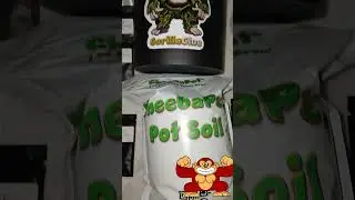 #fyp #DIY #howto #grow #indoorplants #indoor #plants #complete #kit #go #green #garden #gardening
