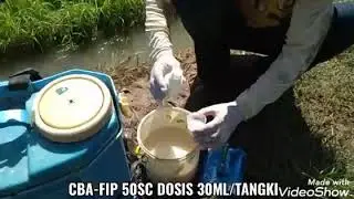 Pengaplikasian Pestisida CENTADOR 10WP & CBA FIP 50SC