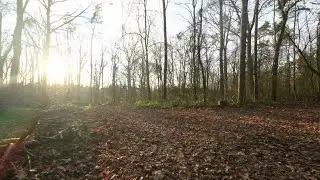 Dęb&oacute;wka objazd w jesiennym słońcu