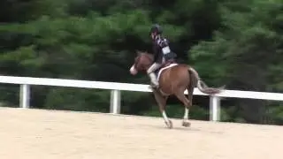Video of FALLING MOON HUCKLEBERRY ridden by ASHLEY SCHNEIDER from ShowNet!