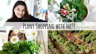 Plant Shopping With Me |Seasonal Plant Shopping Guide | नर्सरी से की प्लांट शॉपिंग |Valentine's Day