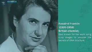 The Most Influential Women in the History of Science
