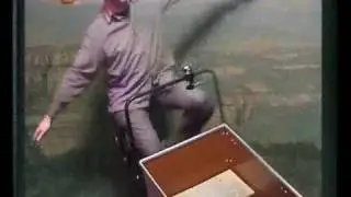Daffie op de bakfiets in de achtbaan
