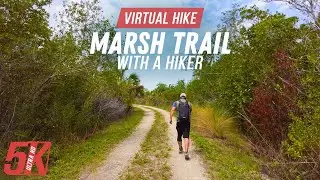 Exploring Florida Trails - Video for Treadmill Exercising - 4K Virtual Hike Along the Marsh Trail