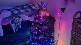 Mijn kamer versieren voor kerst 🎄🎁🎅🏼