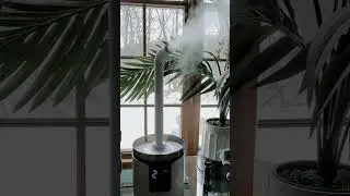 Lacidoll Large Home Humidifier and Air Purifier: Elevate Your Indoor Air Quality #lacidoll