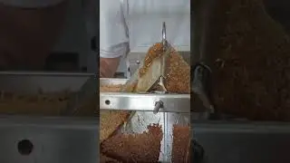 Uncapping honey so satisfying  #bee #beekeeping #trending #shorts #ytshort