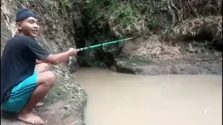 Mancing tempat keramat dapat barakuda dan lele dendeng