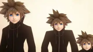 Kingdom Hearts Fans getting on Smash...