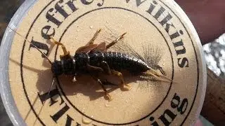 Winter Stoneflies in Appalachia - Jeff Wilkins Fly Fishing 2013
