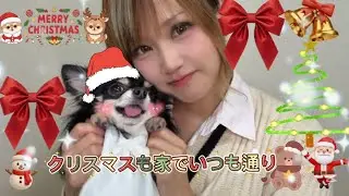 メリークリスマス🎄🎁🐶
