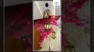 Romell Allure | Borivali East