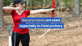 Recurve Bows What Are They