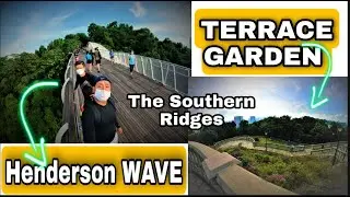 Henderson Wave Bridge