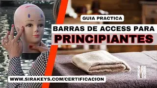 Guia Practica de Barras de Access para PRINCIPIANTES