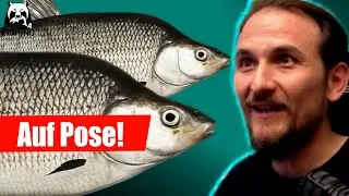 Russian Fishing 4 - Tunguska - Bodenrenken und Muksun