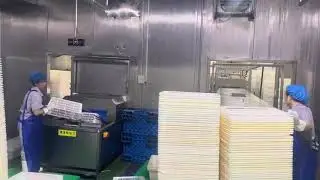 Fully automatic immersion type basket cleaning machine for meat and food industry