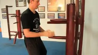 Ving Tsun Combat Science (Wong Shun Leung)  - Wooden Dummy Form
