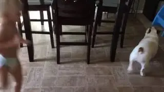 Baby chasing dog around