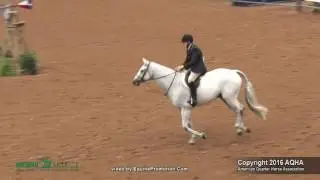 A Judges Perspective: 2016 Select Working Hunter World Champion