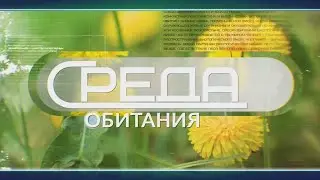 Среда обитания 06-06-22