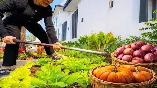 A Peaceful Morning Gardening | Growing Vegetables in Vietnam
