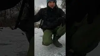 fishing for crucian carp in winter from the ice  #fishing #fish