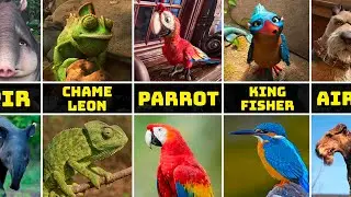 The WIld Life Characters in Real Life | Robinson Crusoe 2016 film