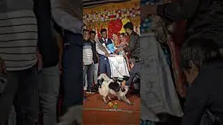 Wedding Reception Funny Video 🤣🤣🤣🤣 My Friend's Reception Ceremony