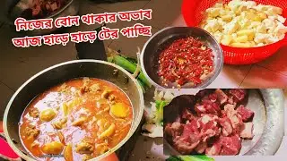 নিজের একটা বোন থাকলে এমন হত না 🥹  Lopalifestyle.. daily vlog 