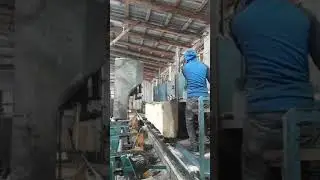 1M &Ccedil;APLI TOMRUK Bİ&Ccedil;ME / LOG CUT TİME LAPS