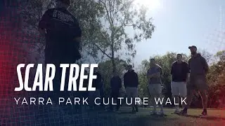 A Walk Through History | Scar Tree