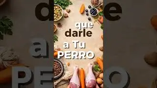 Lo peligroso es no saber qu&eacute; darle a tu perro. Cuidar tambi&eacute;n es informarse 🐾 #perros #pets #perro