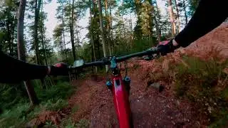 SICK LOAM SHREDDING IN THE VOSGES - FRANCE