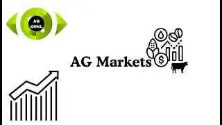 January 15th Weekly Cattle Market Report