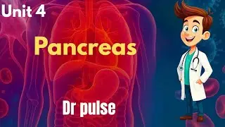 Introduction of pancreas by Dr pulse #pathophysiology 