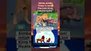 Karakter The Lion King terekam kamera di dunia nyata 😳 #short #thelionking #cartoons #real #wildlife