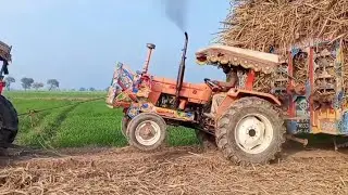 Ghazi tractor  gannay ki load trali nikalty hove  Please sport 