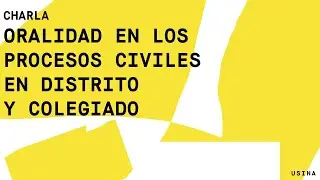 Charla: Oralidad en los procesos civiles