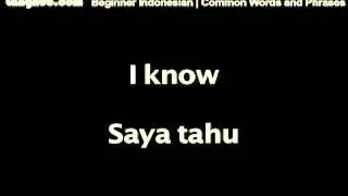 Common Words and Phrases - Langhub.com [Learn Indonesian]