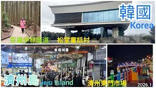 2026.1.1_韓國_濟州島_松堂童話村~思連伊林蔭道~東門市場