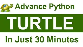 Full Python Turtle in Just 30 Minutes | Python Programming | Graphics Design|PY Master Apran Khunger