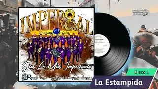 LA ESTAMPIDA - Banda Imperial de Huajuapan