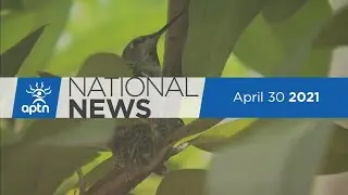 APTN National News April 30, 2021 &ndash; Severe COVID-19 illness, Missing woman identified after 40 years