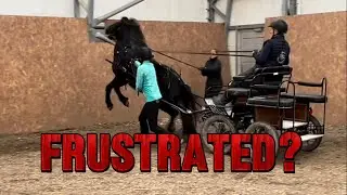 5 KEYS to FRIENDLY Horse Training