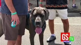 Strand Cam   Rivertown Music & Craft Beer Festival 2018