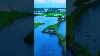 A little slice of heaven on Earth 🌿😇#shorts #explore #fyp #trending #Trend #viral #natural #yt
