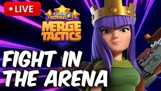 FINAL DAY! Merge Tactics end of season push!