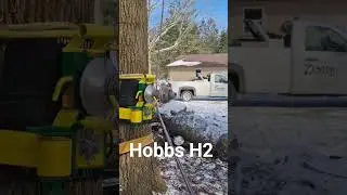Let's do some testing 🤓@zach-riggs#arborist #rigging #gear #tree #treework #shorts #shortvideos