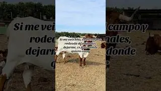 JUSTO DONDE QUIERO ESTAR 👩🏻&zwj;🌾 #campo #felicidades #animales #agricultura #ganaderia #rural